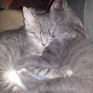 Meet your Posher, Stacie